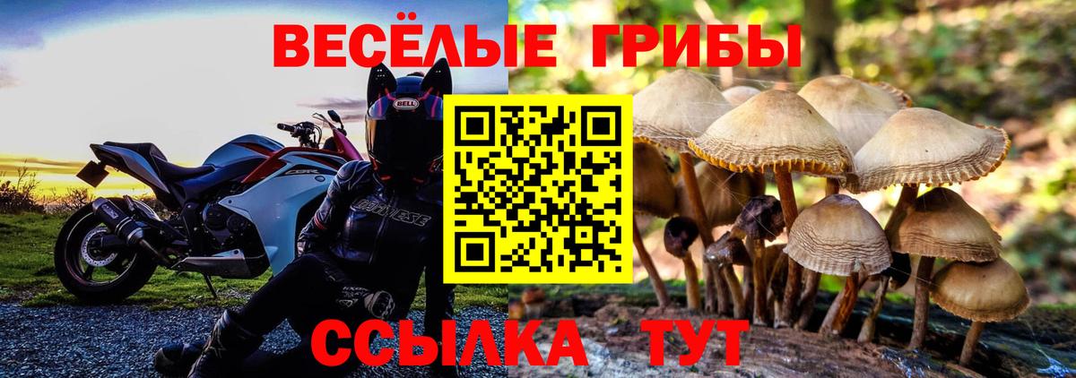 Кандалакша  Псилоцибиновые грибы GOLDEN TEACHER  Вход с VPN  Галлюциногенные грибы мухоморы 