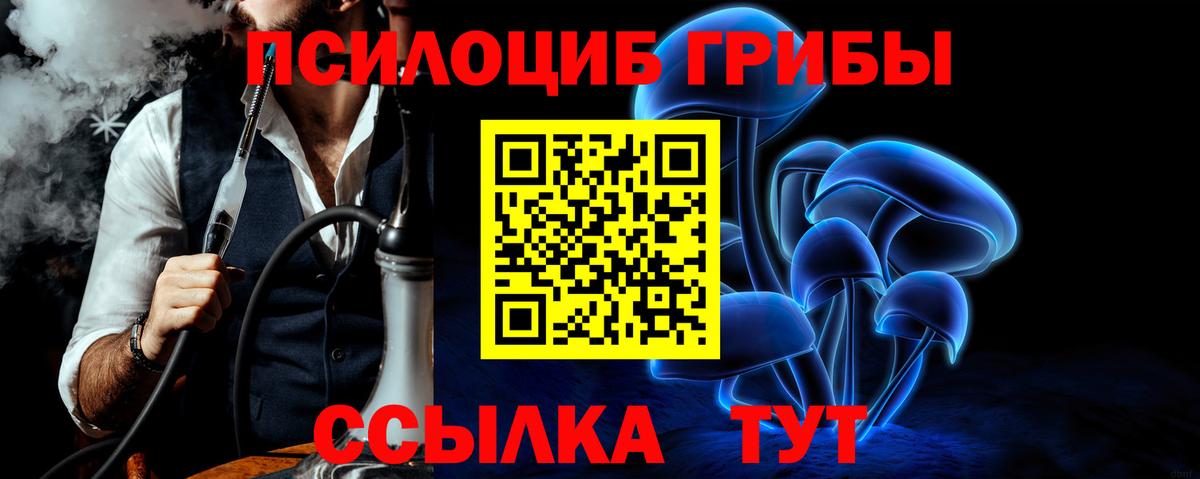 Галлюциногенные грибы MAGIC MUSHROOMS Кандалакша